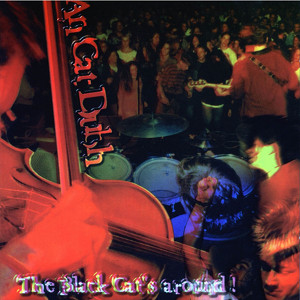 The Black Cat's Around! Albumcover