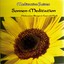 Meditative Reisen: Sonnen-Meditation Albumcover