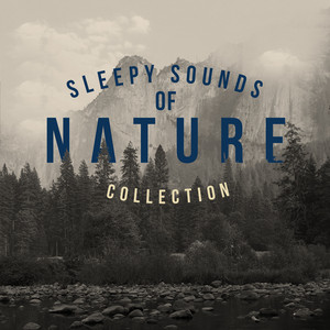Sleepy Sounds of Nature Collection album