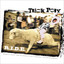 R.I.D.E. cover