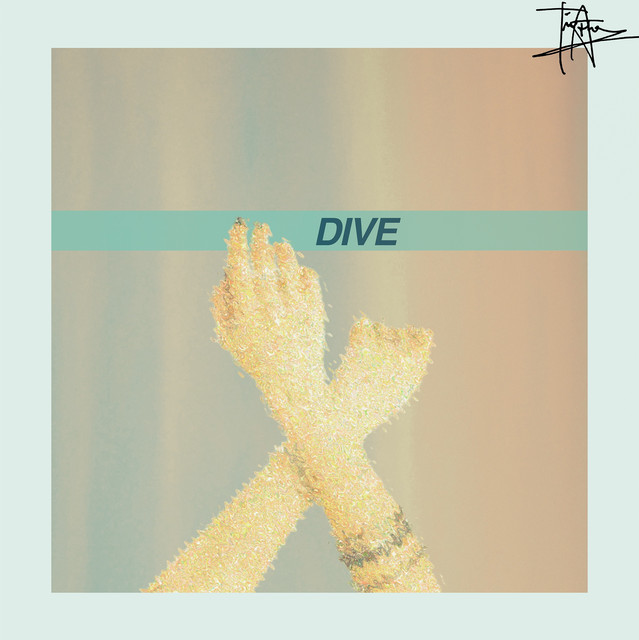 Dive cover