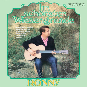 Im schönsten Wiesengrunde album