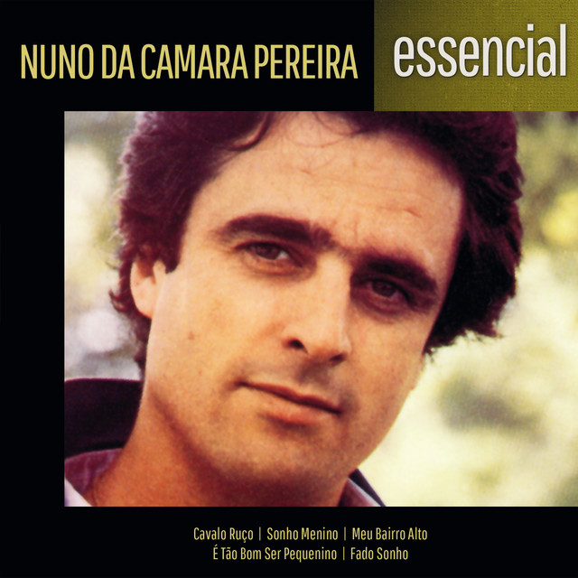 Nuno da Câmara Pereira Photo