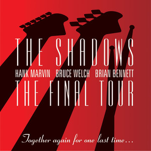 THE FINAL TOUR album