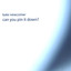 Can You Pin It Down? Albumcover