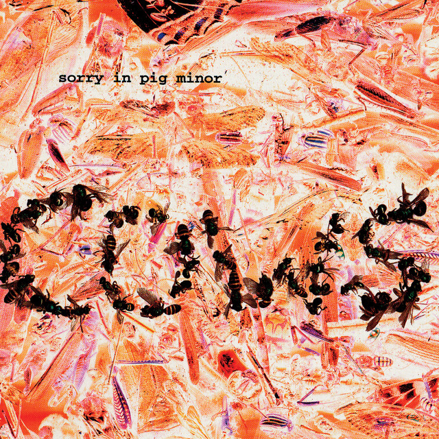 Sorry In Pig Minor cover