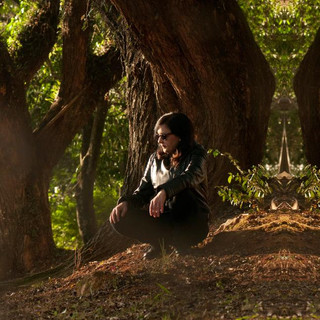 Stela Campos Photo