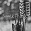Awakening Albumcover