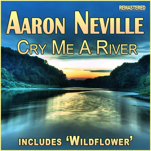 Cry Me a River cover