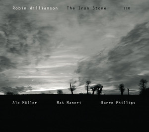 The Iron Stone cover