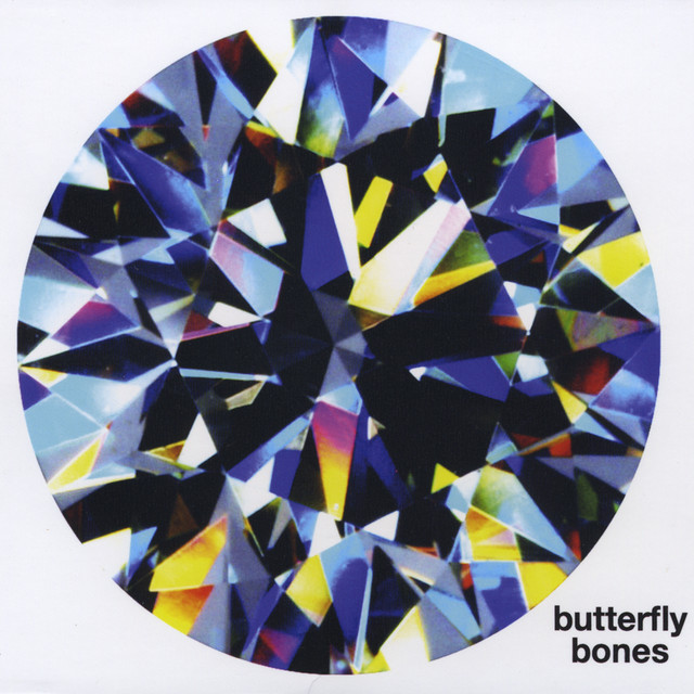 Butterfly Bones Photo