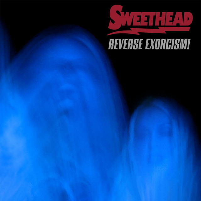 Reverse Exorcism! cover
