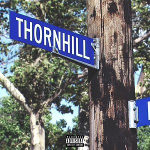 Thornhill cover