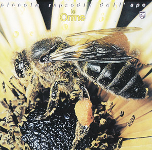 Piccola rapsodia dell'ape album