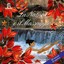 La natura e il massaggio (Ecosound musica relax meditazione) Albumcover