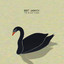 The Black Swan cover