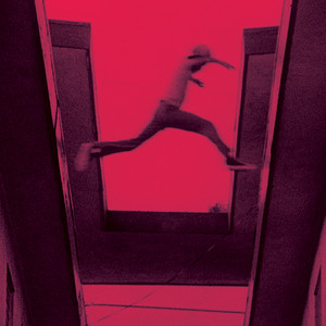 The Ecstatic album