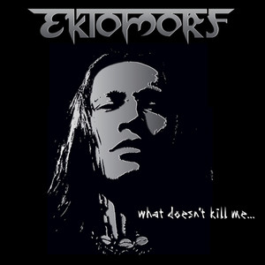 What Doesn't Kill Me... cover