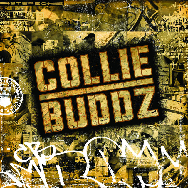 Collie Buddz cover