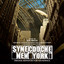 Synecdoche, New York cover