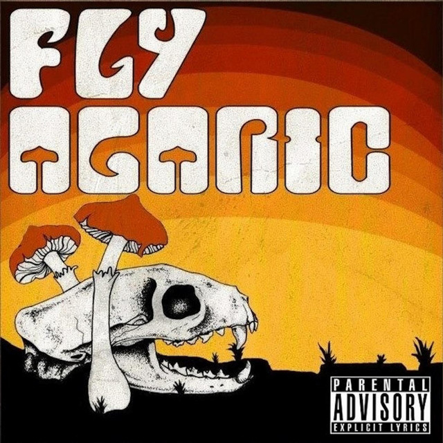 Fly Agaric Photo