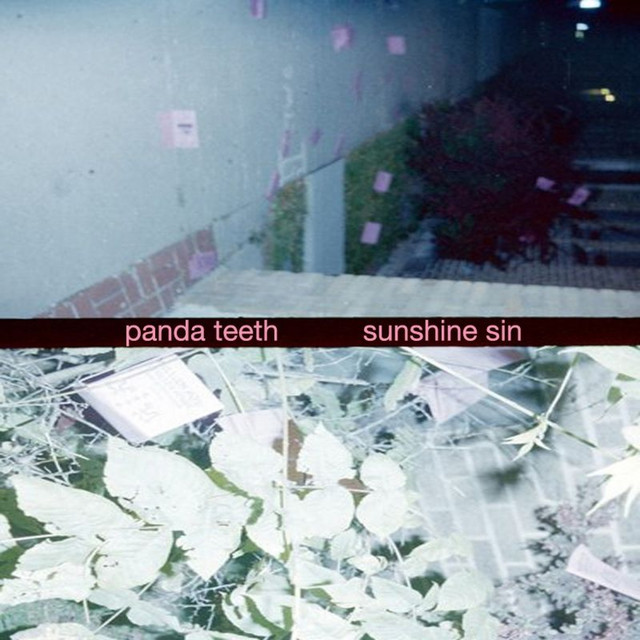 Panda Teeth Photo