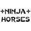 Ninja Horses Albumcover