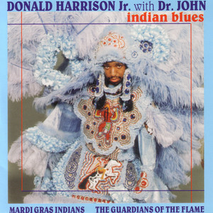 Indian Blues cover