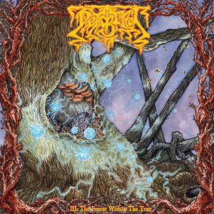 III: The Forest Within the Tree cover