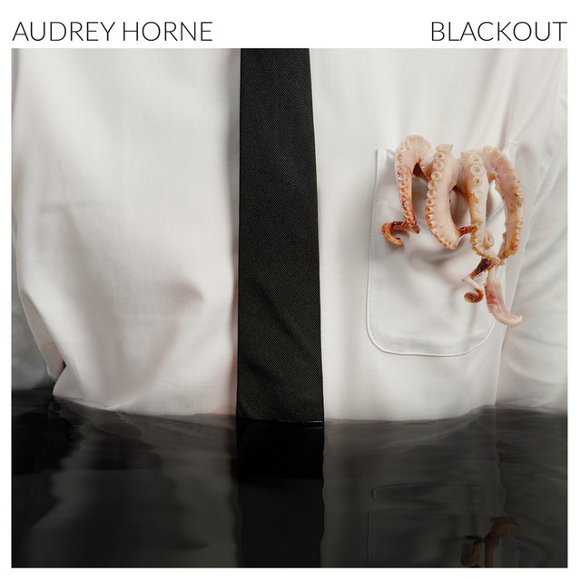 Blackout cover