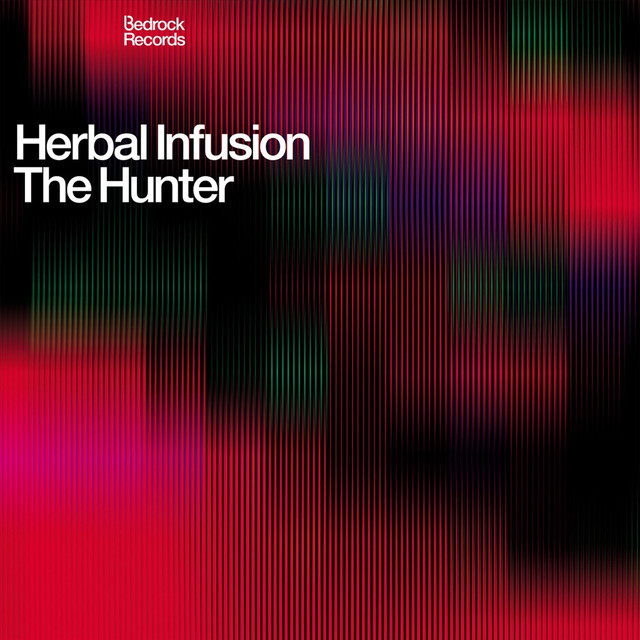 Herbal Infusion Photo