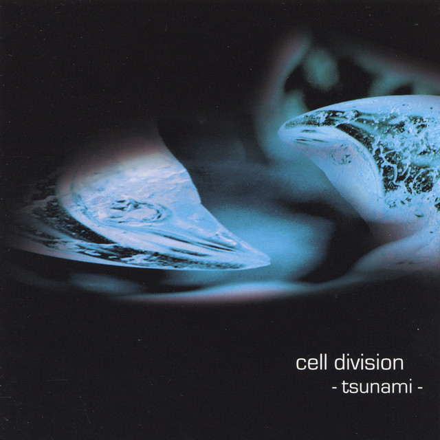 Cell Division Photo