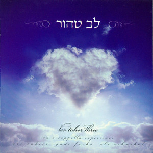 Lev Tahor Photo