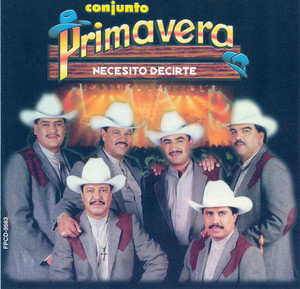 Necesito Decirte cover