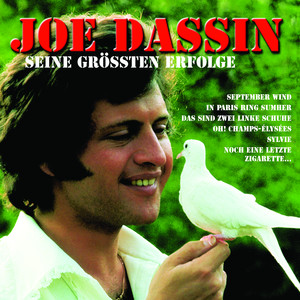 Seine Grössten Erfolge album