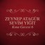 Kına Gecesi, Vol. 6 Albumcover