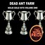 Dead Farm
