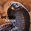 Success cover