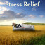 Stress Relief Albumcover