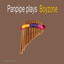 Panpipe Plays Boyzone Albumcover