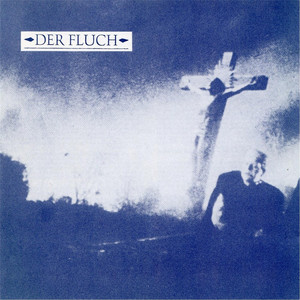 Der Fluch cover