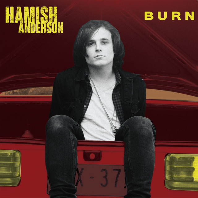 Burn cover