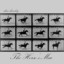 The Horse's Mac Albumcover