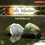Celtic Mantras Albumcover
