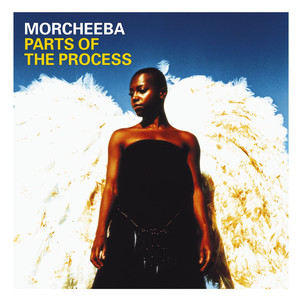 Parts Of The Process (International Standard) album