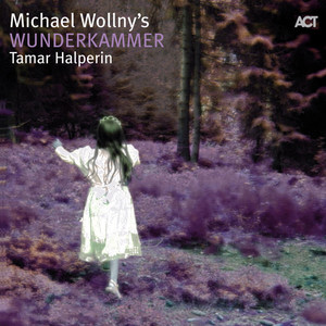 Michael Wollny's Wunderkammer cover