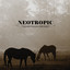 Equestrienne (Remixes) cover
