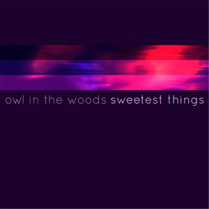 Owl in the Woods