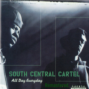 All Day Everyday cover
