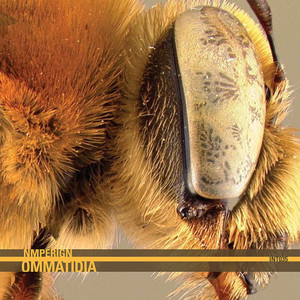 Ommatidia cover